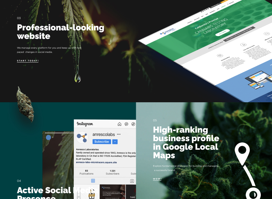 case-cannabis